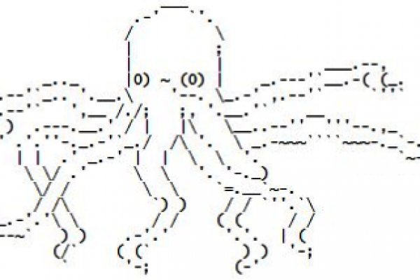 Kraken whitenet marketplace