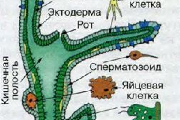 Кракен что это магазин
