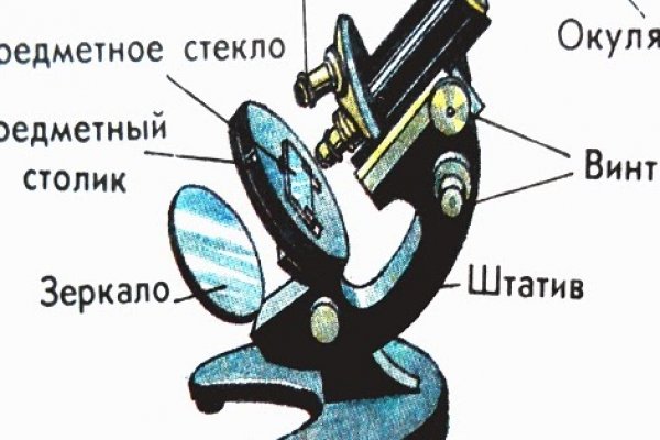 Как выводить деньги с кракена