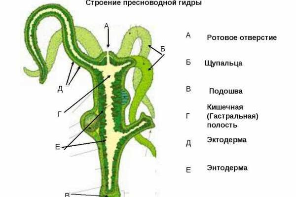 Кракен супернет зайти