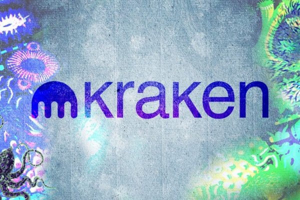 Kraken 24 top