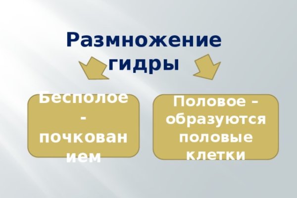 Кракен тор ссылка магазин
