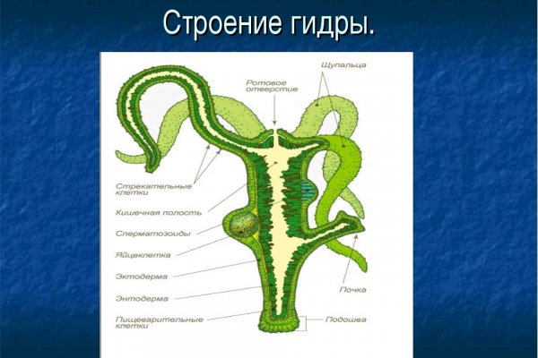 Ошибка на сервере кракен