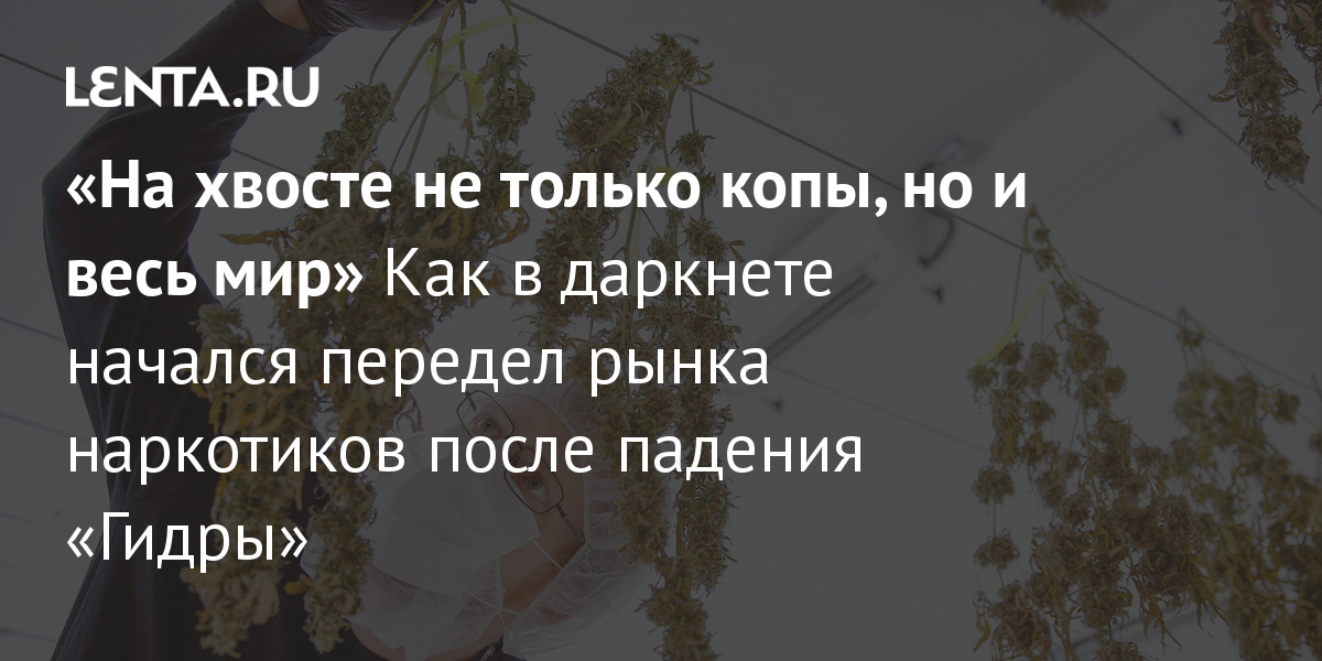Кракен клирнет ссылка